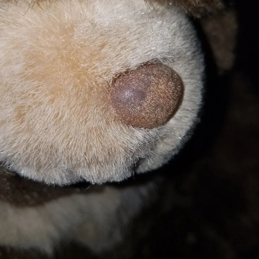 VTG Fancy Zoo Brown Bear Plush Stuffed Animal Toy Lovey 13